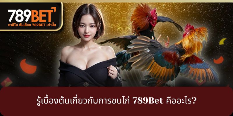 รู้เบื้องต้นเกี่ยวกับการชนไก่ 789Bet คืออะไร?